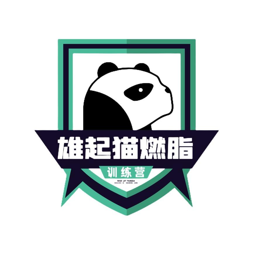 雄起猫健身头像